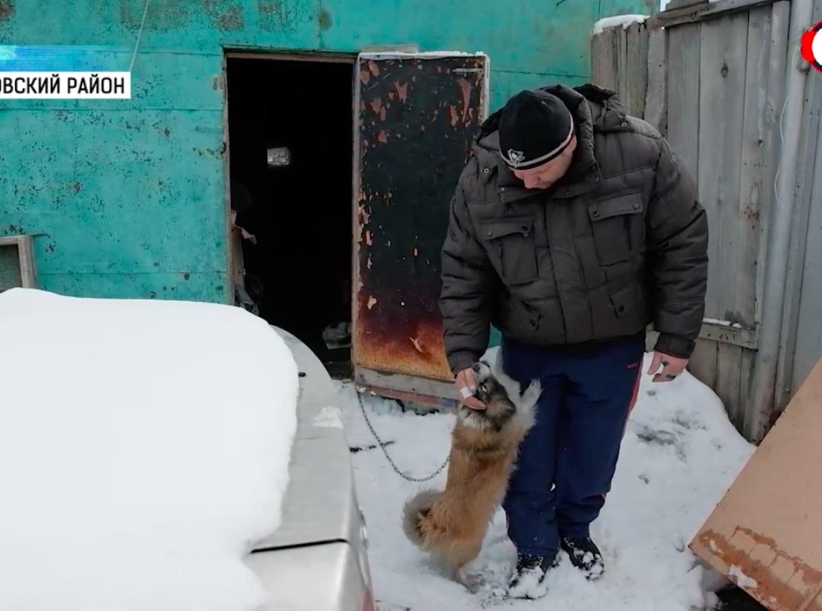 Дворняжка Алиса спасла многодетную семью из пожара